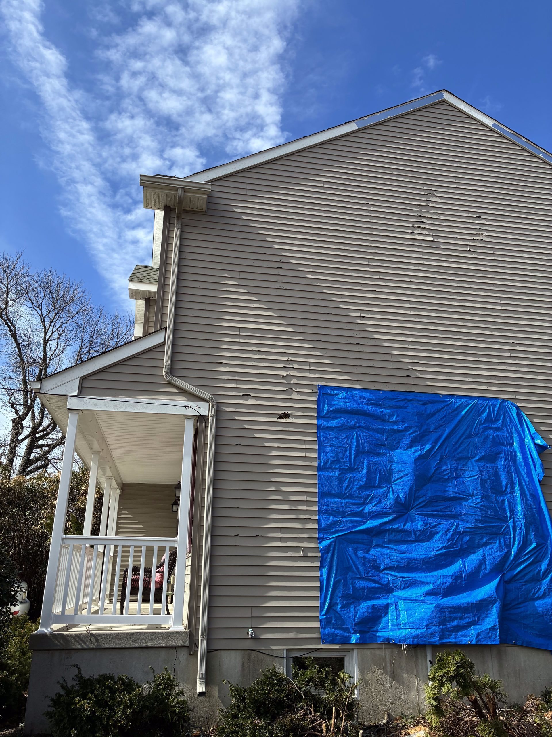 Before Pictures — photo 1