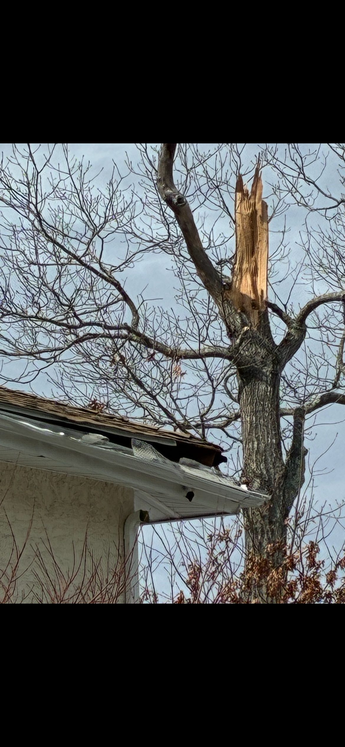 Storm Damage Emergency Service Tarp to keep the water out. — photo 1