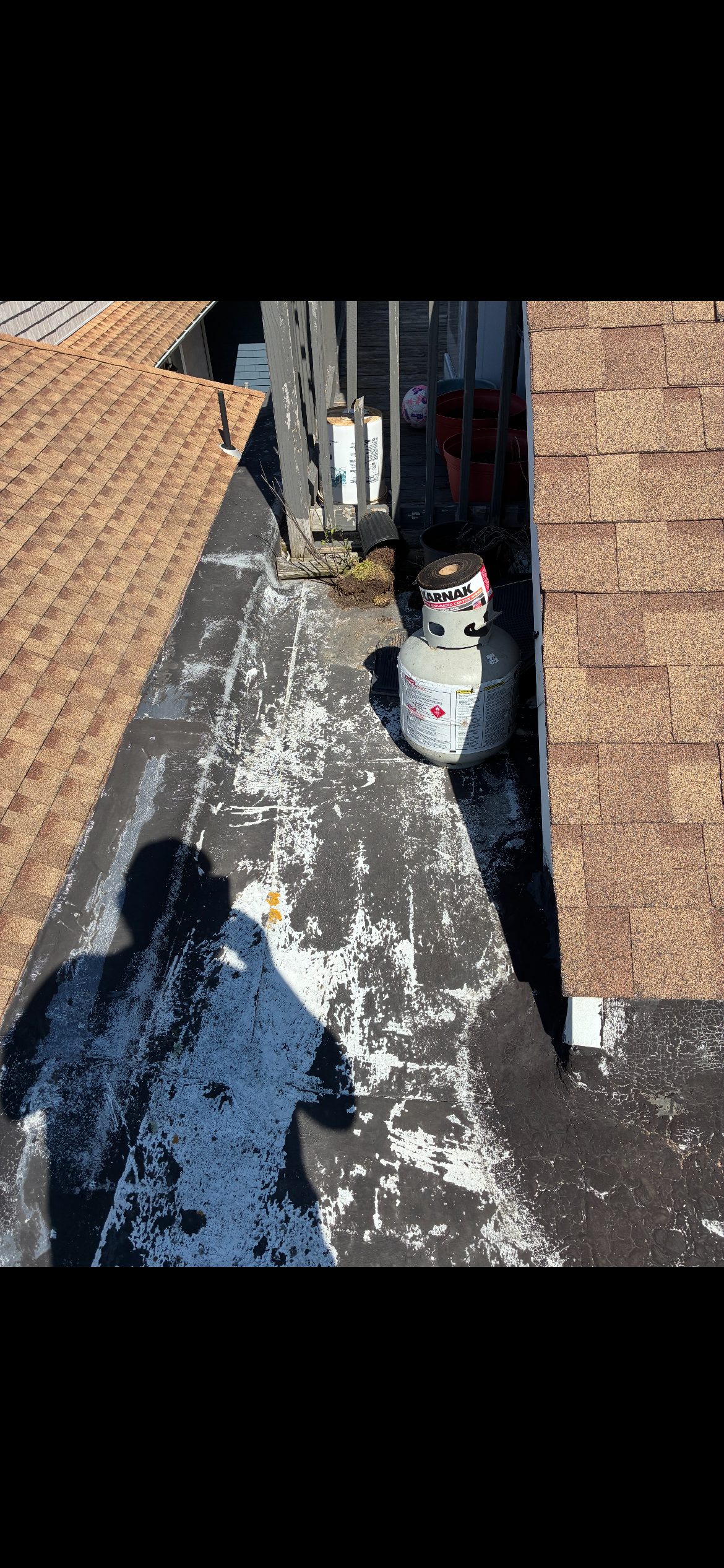 Before and — photo 3