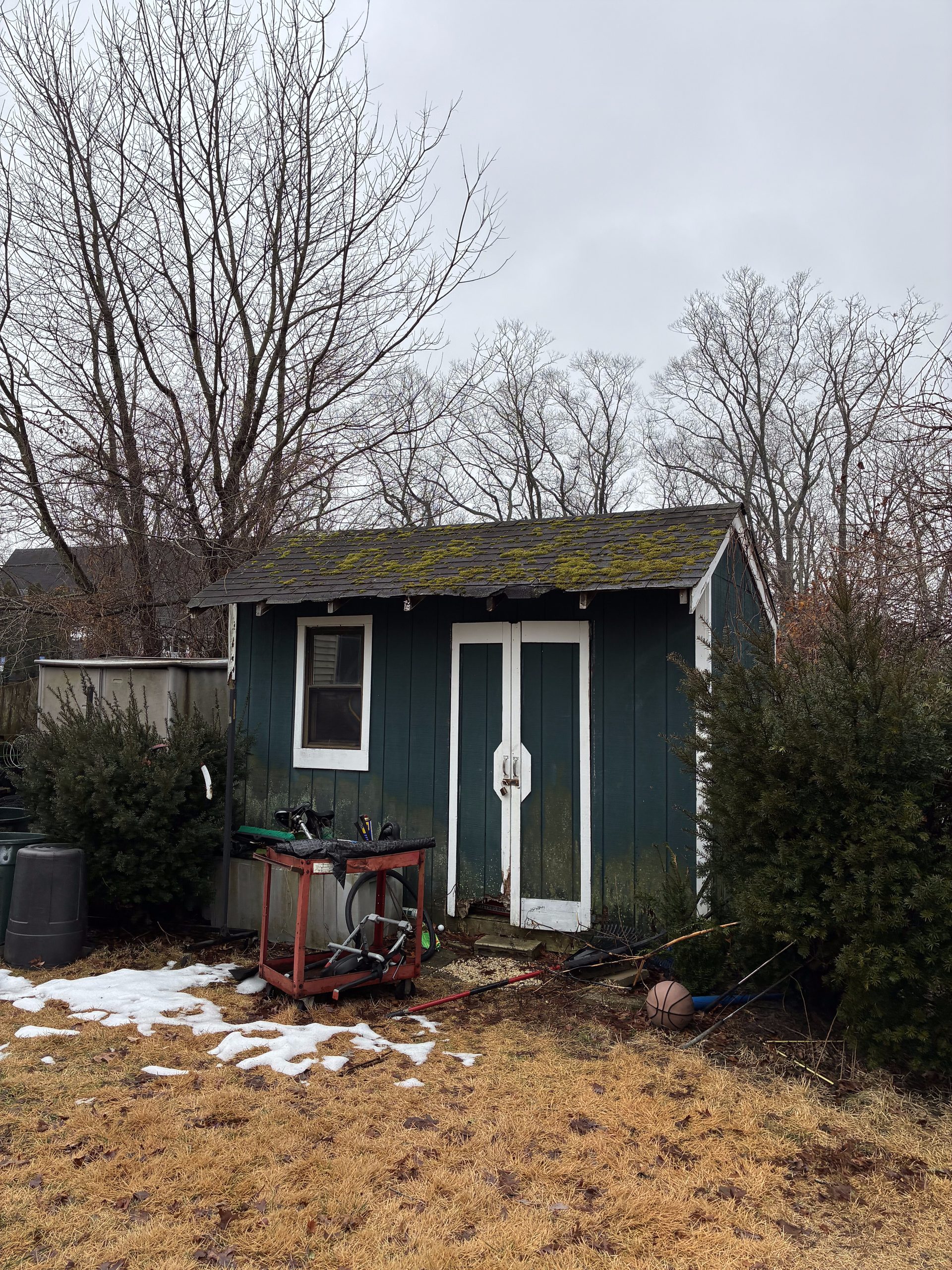 Before During and — photo 4